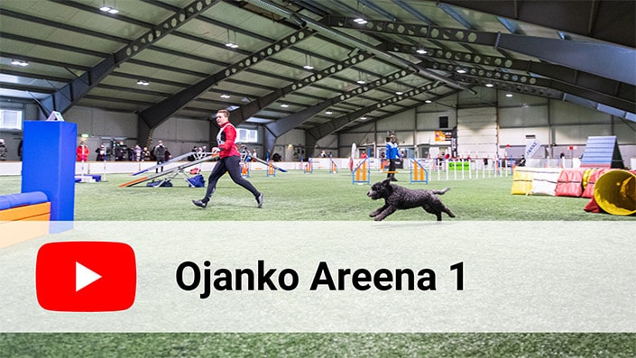 Ojanko-areena livesteam kuvalinkki 1