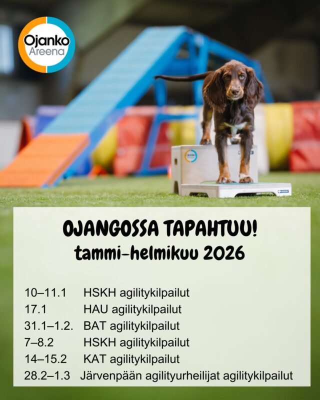 Ojangossa startataan vuosi vauhdilla – agilitykisoja riittää!Nuorten maajoukkuekarsinnat käydään 17.1.2026 Vantaalla, ja kisat järjestää Helsingin Agility Urheilijat ry.Maajoukkuekarsintojen ensimmäinen osakilpailu kilpaillaan 28.2.–1.3.2026. Kilpailut järjestää Järvenpään agilityurheilijat ry.Tule mukaan kisaamaan, treenaamaan ja kannustamaan – tunnelma on taattu!Irtovuoroja voit tiedustella: varaukset@ojanko.fiNähdään Ojangossa!