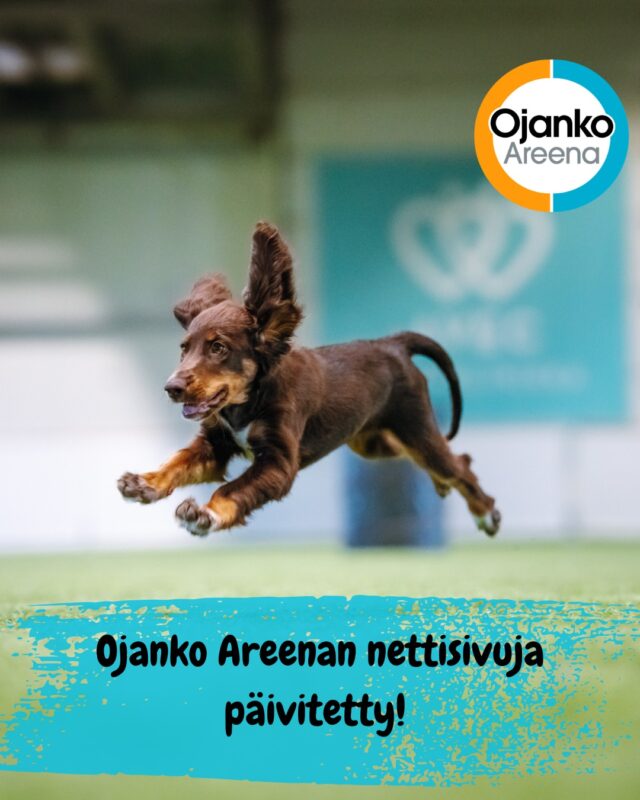 Olemme päivittäneet Ojanko Areenan nettisivuja!Meiltä on tullut useampi kysymys siitä, miten kontaktiesteet ja rengas säädetään Ojanko Areenalla. Nyt näihin löytyy selkeät ohjevideot nettisivuiltamme!Videot on tehty ihan arjen treenejä varten. Nopea vilkaisu riittää, jos olet epävarma tai haluat varmistaa, että säädöt ovat kohdallaan. Kun esteet säädetään samalla tavalla ja ohjeiden mukaisesti, treenaaminen on turvallisempaa ja esteet pysyvät kunnossa.Kiitos hyvistä kehitysehdotuksista. Nämä videot on tehty yhteiseksi hyödyksi.
Linkki videoihin: https://ojanko.fi/kontaktien-ja-renkaan-saataminen/Pidetään yhdessä huolta esteistä ja turvallisista treeneistä 🩵🧡Yhteistyössä @elainklinikkaavec