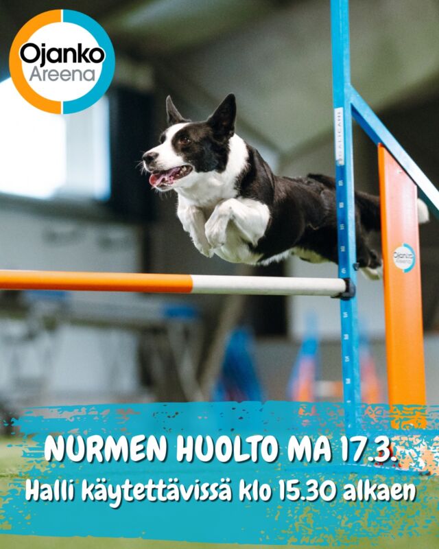 Hallin tekonurmea huolletaan viikon päästä maanantaina 17.3. - halli on tällöin käytettävissä vasta klo 15.30 alkaen!

Yhteistyössä @elainklinikkaavec