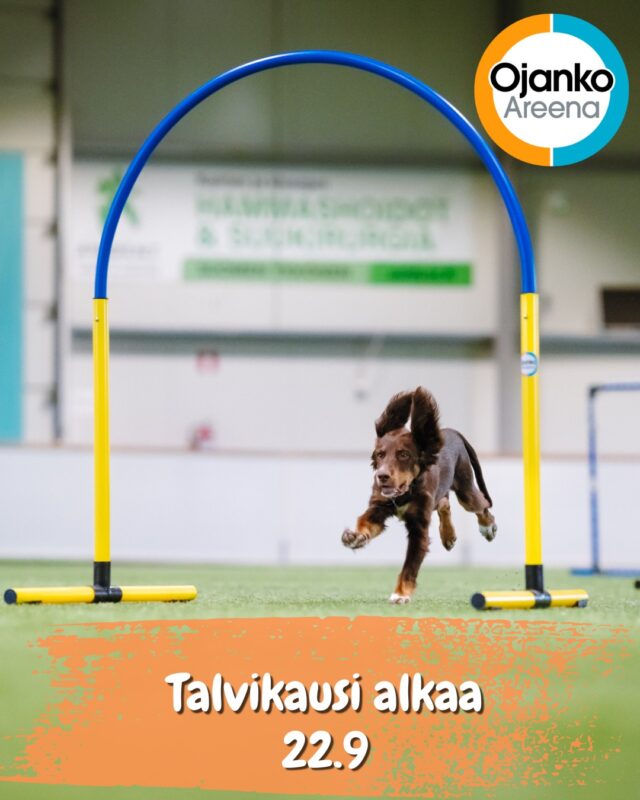 Talvikausi alkaa maanantaina 22.9 ❄️❄️Muistilista talven käytäntöihin:✅Käy päivittämässä avaimesi avaimenpäivityspisteellä (wc-tilojen eteisessä tai kentän 3 oven ulkopuolella)
✅Huomioi myös päivittyneet porttikoodit!Hallissa on talvella viisi kenttää:✅Kenttä 1 jätetään treenin jälkeen aina esteistä tyhjäksi
✅Kentillä 2, 4 ja 5 kontaktit pitää olla aina kentällä ja suoritettavissa turvallisesti.
✅Kenttä 3 saa jäädä treenin jälkeiseen tilaan (agilityesteet kentällä tai kenttä tyhjä). Tämä kuitenkin niin, että agilityesteet ovat sijoitettu turvallisesti (kentällä ollessa agilityesteet suoritettavissa ja kentän reunalla ollessa siististi sivuun pakattunaTreeni iloa ja nähdään hallilla!Yhteistyössä @elainklinikkaavec