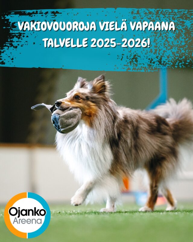 Ojanko Areenan seuraava talvikausi sijoittuu välille 22.9.2025-3.5.2026. Tulevalle talvikaudelle on vielä prime time vakiovuoroja saatavilla arkisin kello 17 sekä klo 20 ja 21 jälkeen.Katso ajantasainen varaustilanne Skeddasta (linkki kommenteissa) ja varaa oma vuorosi osoitteesta varaukset(at)ojanko.fi. Hinnasto löytyy nettisivuiltamme: www.ojanko.fi.Nähdään hallilla, jossa kovakaan pakkanen ei haittaa :)Yhteistyössä @elainklinikkaavec