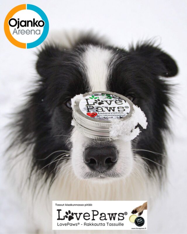 Olemme iloisita, että yhteistyömme jatkuu myös 2026!LovePaws® on kotimainen brändi, joka haluaa lisätä tietoisuutta koirien tassujen hyvinvoinnista ja kannustaa koiranomistajia tarkistamaan ja huoltamaan tassuja säännöllisesti.Luonnonmukainen tassuvaha hoitaa ja hellii tassuja pakkasella sekä vaihtuvissa olosuhteissa. Se sopii käytettäväksi myös ennen lenkkiä suojaamaan erityisesti nyt, kun pakkanen, hiekoitus ja tiesuola rasittavat koirien tassuja. Tassuvaha imeytyy heti, joten se on helppo käyttää eikä sotke paikkoja (kunhan sitä ei laita liikaa).Hyvin pieni määrä riittää! 🐾www.rakkauttatassuille.fi
@lovepaws_official
