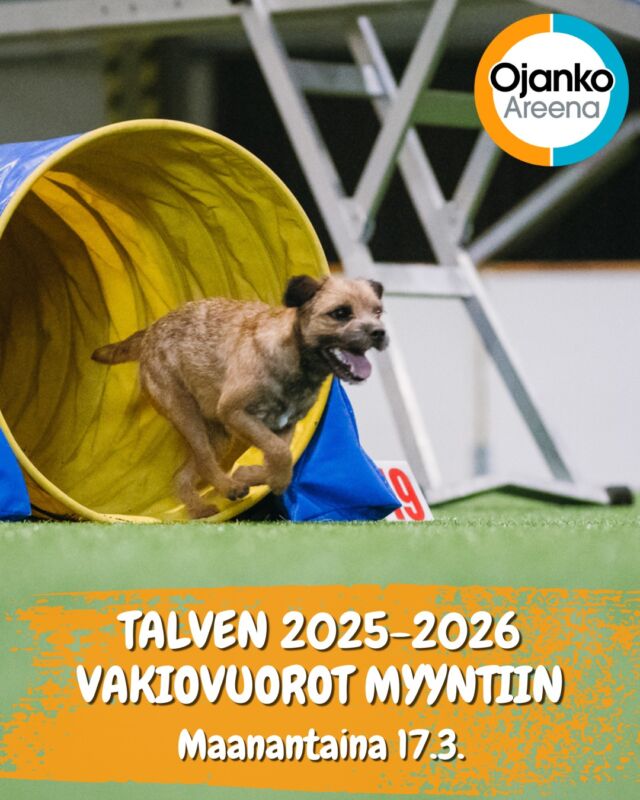 Talvikauden 2025-2026 vakiovuorojen myynti alkaa maanantaina 17.3.!

Ojanko Areenan seuraava talvikausi sijoittuu välille 22.9.2025-3.5.2026. Hinnaston löydät nettisivuiltamme: https://ojanko.fi/hinnasto/ ja tämänhetkisen varaustilanteen näet helpoiten Skeddasta: https://ojankoareena.skedda.com/.

Tiedustele vuoroa osoitteesta varaukset@ojanko.fi!

Yhteistyössä @elainklinikkaavec