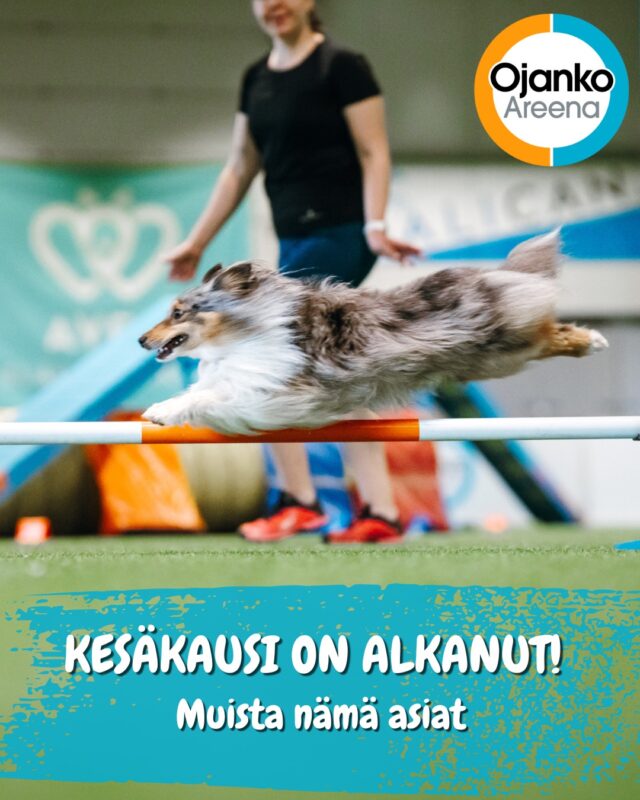 Etusivu 9 Ojanko Areenan kesäkausi starttaa virallisesti maanantaina 5.5., ja onkin aika muistutella muutamista kesäkauden käytännöistä:
- Käy päivittämässä avaimesi avaimenpäivityspisteellä (wc-tilojen eteisessä tai kentän 3 oven ulkopuolella). Huomioi myös päivittyneet porttikoodit!
Hallissa on kesällä kolme kenttää, joiden käytölle on omat ohjeistukset:
- Venyvä koira -kenttä (kenttä 1) on ratakenttä! Tunnettujen agilitytuomarien suunnittelema rata rakentuu hieman aiempia vuosia harvemmin, rakennuspäivät ovat: 5.5., 2.6., 16.6., 7.7., 4.8. ja 18.8. Ratapiirustus löytyy kentän 1 ilmoitustaululta ja se toimitetaan myös etukäteen sähköpostitse. Ethän siirrä esteitä tai numerointeja kentällä, kun ratakenttä on rakennettu! Kun rataa ei kentällä ole, kontaktiesteet pitää olla aina kentällä ja suoritettavissa.
- Revolution Race -kenttä (kenttä 3) ja Valjakko-kenttä (kenttä 5) saavat jäädä treenin jälkeiseen tilaan (agilityesteet kentällä tai kenttä tyhjä). Tämä kuitenkin niin, että agilityesteet ovat sijoitettu turvallisesti (kentällä ollessa kontaktiesteet suoritettavissa ja kentän reunalla ollessa siististi sivuun pakattuina ja helposti käyttöön otettavissa)
- Kesäkaudella kenttä 1 ja kenttä 5 ovat isoja kenttiä (n. 35 x 30 m). Kenttä 3 on saman kokoinen kuin talvikaudella (18 x 30m).
Yhteistyössä @elainklinikkaavec