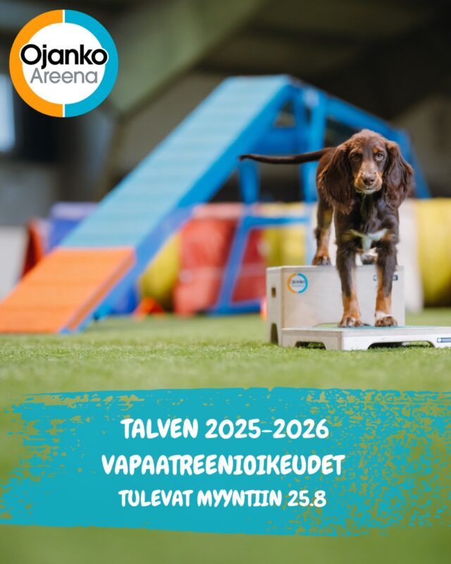 Talvikauden 2025-2026 vapaatreenioikeudet tulevat myyntiin 25.8 kello 9:00.Vapaatreenioikeuden hinta on 500€. Lue lisää vapaaharjoittelusta Ojanko Areenan nettisivuilta: https://ojanko.fi/vapaaharjoittelu/Varauksen voit tehdä tätä kautta:  https://forms.gle/whViGbZLov5qhL777 (lomake aukeaa 25.8 kello 9:00 ja linkki vielä kommenteissa).Yhteistyössä @@elainklinikkaavec