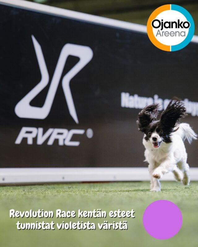 Revolution Race -kenttä on violetti!Hauskuus ja vauhti kohtaavat violetilla kentällä.  Energisen treenin ja kisojen jälkeen esteet on helppo palauttaa omille paikoilleen – kaikki sujuu mutkattomasti.Mukavia treenejä @revolutionrace  kentällä!