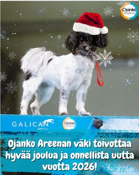 Ojanko Areenan väki kiittää kuluneesta vuodesta ja toivottaa samalla hyvää joulua ja menestyksekästä uutta vuotta 2026! ❤️Suuri kiitos kaikille treenaajille, kisaajille, hallin vuokralaisille sekä yhteistyökumppaneillemme - tästä on hyvä jatkaa uutta vuotta kohti! ✨Hallin henkilökunta lomailee joulun pyhät 22-26.12 sekä  30.12-2.1 välillä.