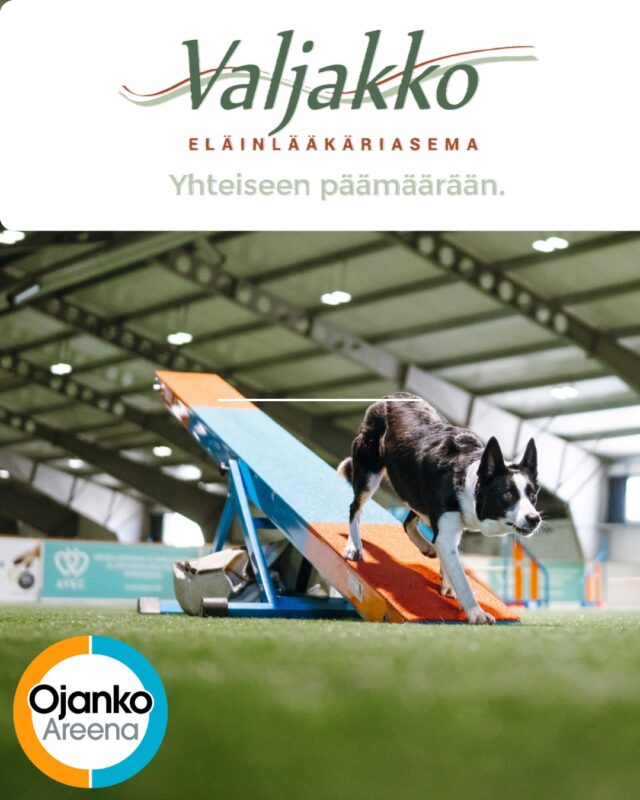 Olemme iloisia voidessamme kertoa, että pitkäaikainen kumppanuutemme Eläinlääkäriasema Valjakon kanssa jatkuu. Kenttä 5 tunnetaan siis jatkossakin Valjakko kenttänä, jonka esteet on merkattu 🟢 värillä🐾🐾Etsitkö koirallesi tai kissallesi omaeläinlääkäriä, joka tuntee lemmikkisi, ottaa vastuun sen hoidosta ja kuuntelee omistajaa?Valjakko on ketjuihin kuulumaton, 100 % suomalainen yritys, jonka omistavat eläinlääkäri Kaisa Murole ja klinikkaeläintenhoitaja Minna Pessi.Tervetuloa lemmikkisi kanssa Valjakkoon!https://www.valjakko.fi
Eläinlääkäriasema Valjakko
