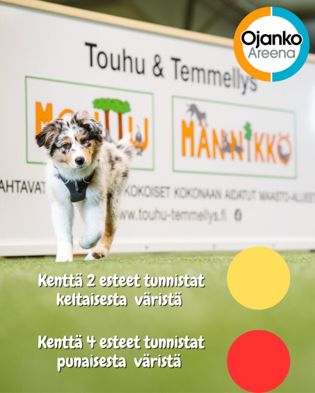 Ojanko Areena uudistuu - kentät värikoodattu!Kenttä 2 on keltainen – aurinkoinen ja energinen!
Täällä treeni sujuu iloisessa tunnelmassa, ja kaikki välineet löytyvät helposti omilta paikoiltaan.Kenttä 4 on punainen – täynnä voimaa ja intensiteettiä!
Punainen kenttä luo dynaamisen fiiliksen, ja tavarat on helppo palauttaa, jotta kenttä pysyy järjestyksessä.Yhteistyössä@elainklinikkaavec