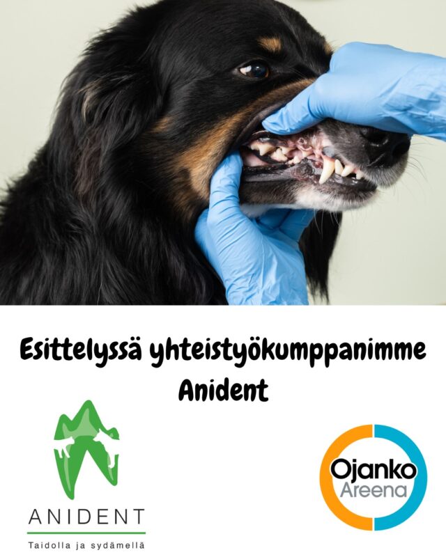 Etusivu 11 Anident on Suomen ainoa hammashoitoihin ja suukirurgiaan erikoistunut eläinklinikka.
Anident on oikea klinikka tapauksissa, joissa lemmikkisi tarvitsee vaativampia hammashoitoja, kuten juurihoitoja tai oikomisia, leukakirurgiaa, hankalien ja puhkeamattomien hampaiden poistoja, leukamurtuman korjausta tai suukasvaimien kirurgista operointia.
Meillä on yli 30 vuoden kokemus ja erityisosaaminen lemmikkieläinten hammashoidoista ja suukirurgiasta. Ammattimaisuus, empatia ja luotettavuus ohjaavat toimintaamme, ja pyrimme tarjoamaan täydellisen asiakaskokemuksen sekä sinulle että lemmikillesi.
Menetelmämme ja korkeatasoinen välineistömme ovat nykyaikaisia sekä tehokkaita ja henkilökuntamme on ammattitaidoltaan kansainvälistä huipputasoa.
Tutustu meihin ja lue lisää www.anident.fi!
@anident.fi