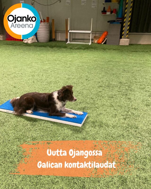 Etusivu 11 Ojanko uudistuu!Jatkossa löydät kentältä 3 ja 5 Galicanin kontaktilaudat!Yhteistyössä @elainklinikkaavec