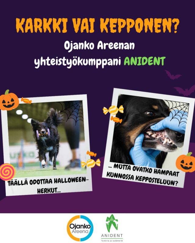 Karkki vai kepponen? 🎃🍬 

🦷✨ Yhteistyökumppanimme Anident pitää huolen siitä, että koirasi suuterveys on huipussaan. 

Anident on Suomen ainoa hammashoitoihin ja suukirurgiaan erikoistunut eläinklinikka.

Anident on oikea klinikka tapauksissa, joissa lemmikkisi tarvitsee vaativampia hammashoitoja, kuten juurihoitoja tai oikomisia, leukakirurgiaa, hankalien ja puhkeamattomien hampaiden poistoja, leukamurtuman korjausta tai suukasvaimien kirurgista operointia.

Meillä on yli 30 vuoden kokemus ja erityisosaaminen lemmikkieläinten hammashoidoista ja suukirurgiasta. Ammattimaisuus, empatia ja luotettavuus ohjaavat toimintaamme, ja pyrimme tarjoamaan täydellisen asiakaskokemuksen sekä sinulle että lemmikillesi.

Menetelmämme ja korkeatasoinen välineistömme ovat nykyaikaisia sekä tehokkaita ja henkilökuntamme on ammattitaidoltaan kansainvälistä huipputasoa.

Tutustu Anidentin palveluihin: @anident.fi 

#anident #halloween #karkkivaikepponen #koiranhampaat #koiranhyvinvointi #koiraurheilu #vantaa #koiraharrastu
