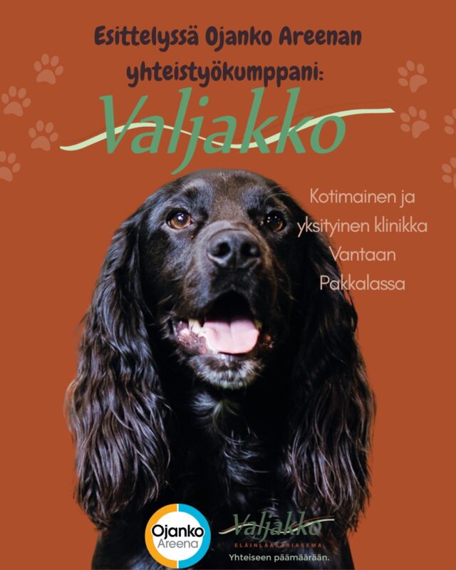 Esittelyssä Ojanko Areenan yhteistyökumppani: Valjakko! 🐾💚 

Etsitkö koirallesi tai kissallesi omaeläinlääkäriä, joka tuntee lemmikkisi, ottaa vastuun sen hoidosta ja kuuntelee omistajaa?

Valjakko on ketjuihin kuulumaton, 100 % suomalainen yritys, jonka omistavat eläinlääkäri Kaisa Murole ja klinikkaeläintenhoitaja Minna Pessi.

Tervetuloa lemmikkisi kanssa Valjakkoon!

Yhteistyössä: @valjakkoellasema 

#ojankoareena #valjakko #yhteistyökumppani #eläinlääkäri #koiranterveys #koiranhyvinvointi #harrastuskoira #urheilukoira #vantaa #pakkala